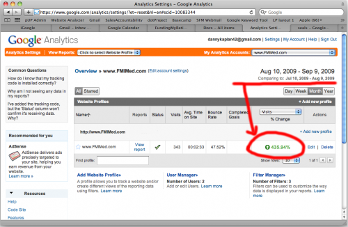 Increasing Website Traffic By 435.94%