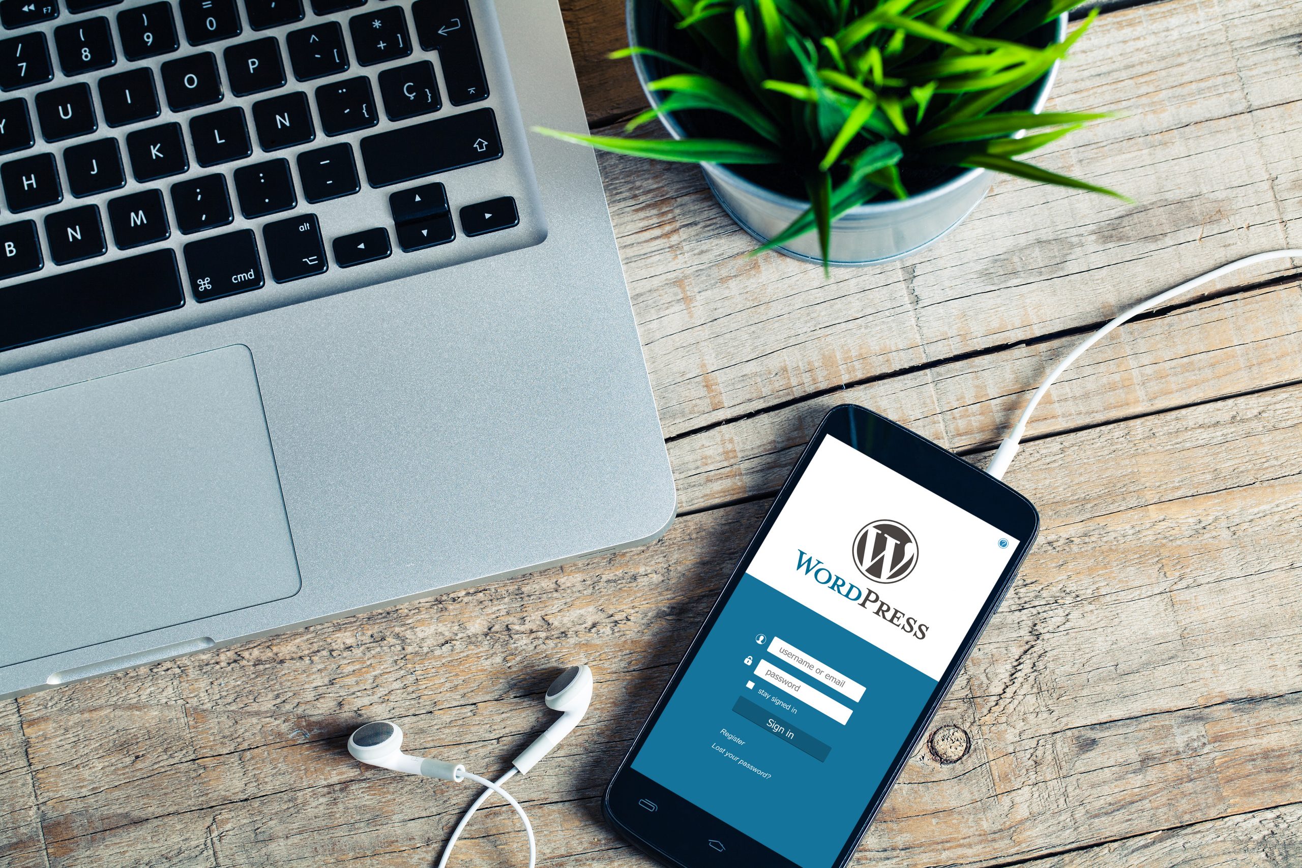 Image of a laptop, plant and a mobile phone with Wordpress on the screen.