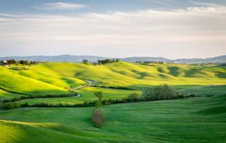 Tuscan countryside. Optimize your content for Google Discover and let users explore your content instead of searching for it.