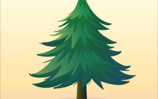 Image of pine tree to represent evergreen content and how it should be maintained for best SEO results