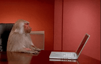 Frustrated monkey gif illustrating how to know when it's time for a PPC audit.