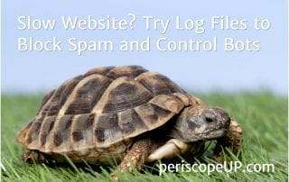 Title image of turtle as illustration of Using Log Files to Block Spam and Control Bots