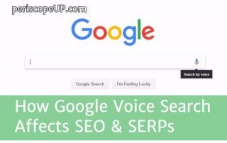 Google Voice Search